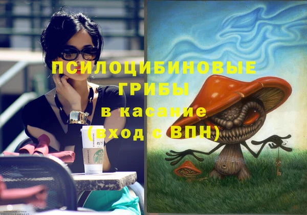 прущие крисы Балахна