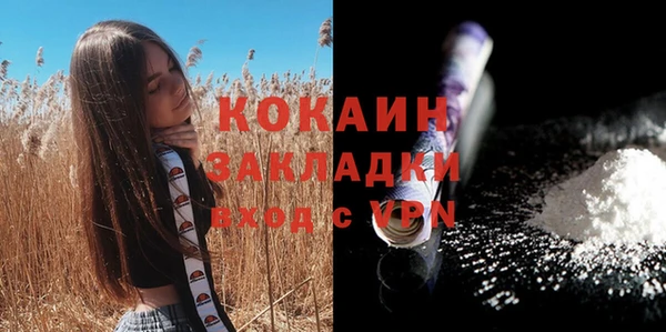 прущие крисы Балахна