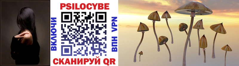 Галлюциногенные грибы Cubensis  как найти закладки  Бобров 